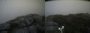 ./images/calvert/buxton2/20200811/buxton220200811_101503M.jpg