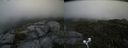 ./images/calvert/buxton2/20200811/buxton220200811_102003M.jpg