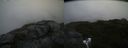 ./images/calvert/buxton2/20200813/buxton220200813_182503M.jpg