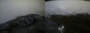 ./images/calvert/buxton2/20200813/buxton220200813_202003M.jpg