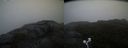 ./images/calvert/buxton2/20200814/buxton220200814_065503M.jpg
