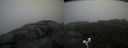 ./images/calvert/buxton2/20200814/buxton220200814_072503M.jpg