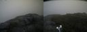 ./images/calvert/buxton2/20200814/buxton220200814_084003M.jpg