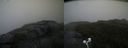 ./images/calvert/buxton2/20200814/buxton220200814_092003M.jpg