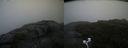 ./images/calvert/buxton2/20200814/buxton220200814_095003M.jpg