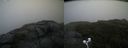 ./images/calvert/buxton2/20200814/buxton220200814_095503M.jpg