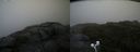 ./images/calvert/buxton2/20200814/buxton220200814_100502M.jpg