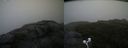 ./images/calvert/buxton2/20200814/buxton220200814_101002M.jpg