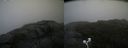 ./images/calvert/buxton2/20200814/buxton220200814_104502M.jpg