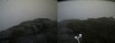 ./images/calvert/buxton2/20200814/buxton220200814_105003M.jpg