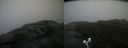 ./images/calvert/buxton2/20200814/buxton220200814_105503M.jpg