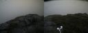 ./images/calvert/buxton2/20200814/buxton220200814_111003M.jpg