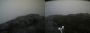./images/calvert/buxton2/20200814/buxton220200814_112003M.jpg