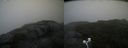 ./images/calvert/buxton2/20200814/buxton220200814_114003M.jpg