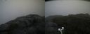 ./images/calvert/buxton2/20200814/buxton220200814_114503M.jpg