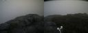 ./images/calvert/buxton2/20200814/buxton220200814_120503M.jpg