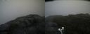 ./images/calvert/buxton2/20200814/buxton220200814_121502M.jpg