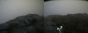 ./images/calvert/buxton2/20200814/buxton220200814_122502M.jpg