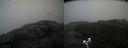 ./images/calvert/buxton2/20200814/buxton220200814_125503M.jpg