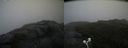 ./images/calvert/buxton2/20200814/buxton220200814_131503M.jpg