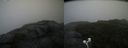 ./images/calvert/buxton2/20200814/buxton220200814_132502M.jpg