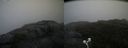 ./images/calvert/buxton2/20200814/buxton220200814_140503M.jpg