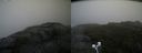 ./images/calvert/buxton2/20200814/buxton220200814_141003M.jpg