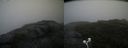 ./images/calvert/buxton2/20200814/buxton220200814_142503M.jpg