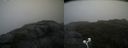 ./images/calvert/buxton2/20200814/buxton220200814_144502M.jpg