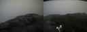 ./images/calvert/buxton2/20200814/buxton220200814_145502M.jpg