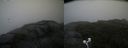 ./images/calvert/buxton2/20200814/buxton220200814_152503M.jpg