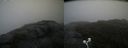 ./images/calvert/buxton2/20200814/buxton220200814_154503M.jpg