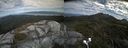 ./images/calvert/buxton2/20200816/buxton220200816_143503M.jpg