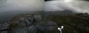 ./images/calvert/buxton2/20200819/buxton220200819_135503M.jpg