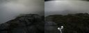 ./images/calvert/buxton2/20200820/buxton220200820_084503M.jpg