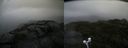 ./images/calvert/buxton2/20200820/buxton220200820_090503M.jpg