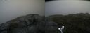 ./images/calvert/buxton2/20200820/buxton220200820_115503M.jpg