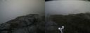 ./images/calvert/buxton2/20200820/buxton220200820_154002M.jpg