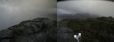 ./images/calvert/buxton2/20200820/buxton220200820_155002M.jpg