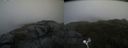 ./images/calvert/buxton2/20200820/buxton220200820_181002M.jpg