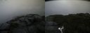 ./images/calvert/buxton2/20200820/buxton220200820_191003M.jpg