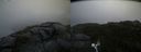 ./images/calvert/buxton2/20200820/buxton220200820_191503M.jpg