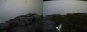 ./images/calvert/buxton2/20200820/buxton220200820_195503M.jpg