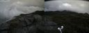 ./images/calvert/buxton2/20200821/buxton220200821_104502M.jpg