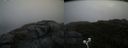 ./images/calvert/buxton2/20200821/buxton220200821_122003M.jpg