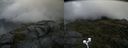 ./images/calvert/buxton2/20200821/buxton220200821_124503M.jpg