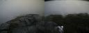./images/calvert/buxton2/20200821/buxton220200821_140503M.jpg