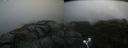 ./images/calvert/buxton2/20200821/buxton220200821_141003M.jpg