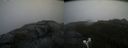 ./images/calvert/buxton2/20200821/buxton220200821_165003M.jpg