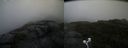 ./images/calvert/buxton2/20200821/buxton220200821_184503M.jpg